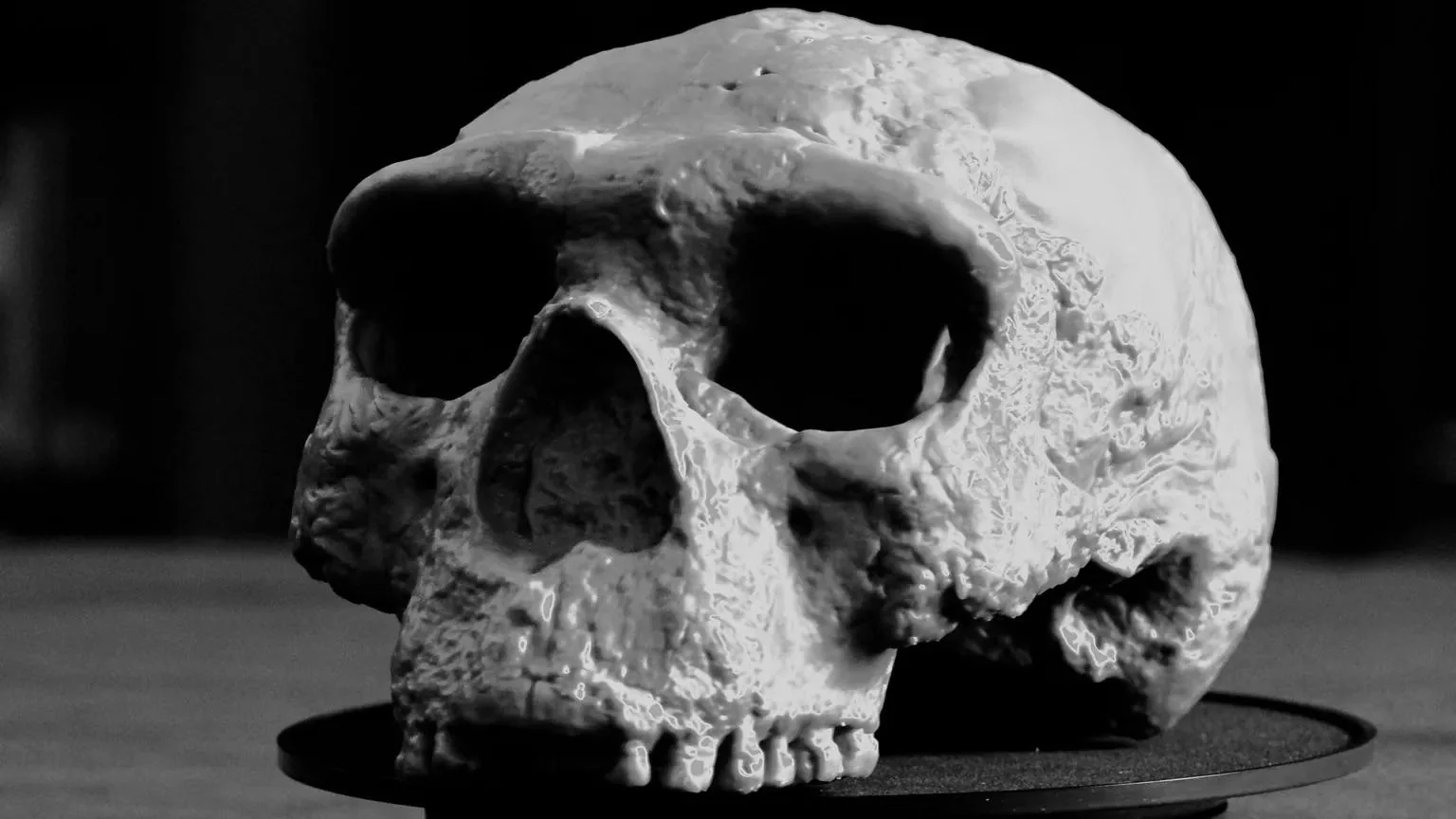 Ancient China Skull Discovery