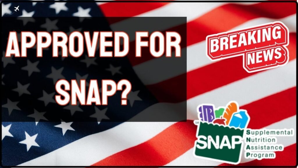 Approved for SNAP? Five Other Savings Programs You May Also Qualify For 1 Approved for SNAP Five Other Savings Programs You May Also Qualify For