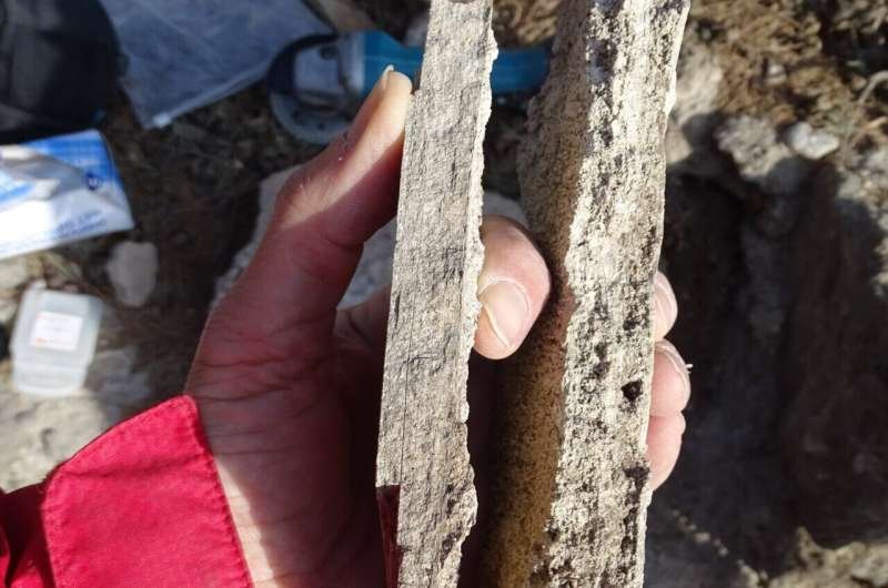 Carbonate deposits and mineral evidence