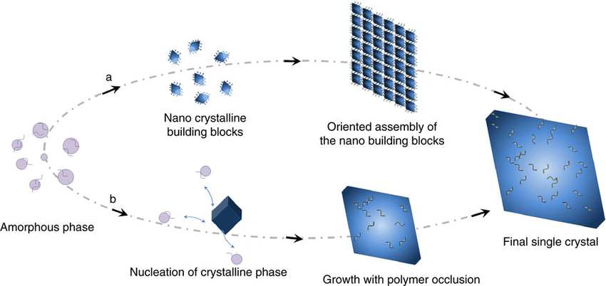 Crystal assembly and growth schematic