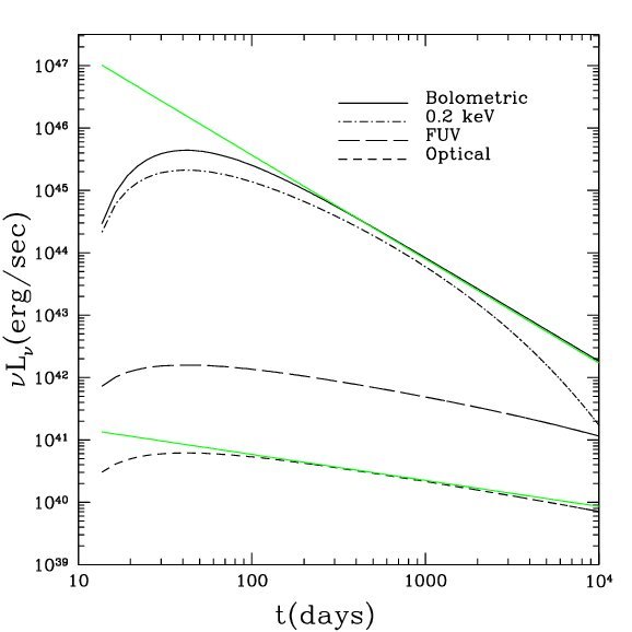 Densely sampled light curves