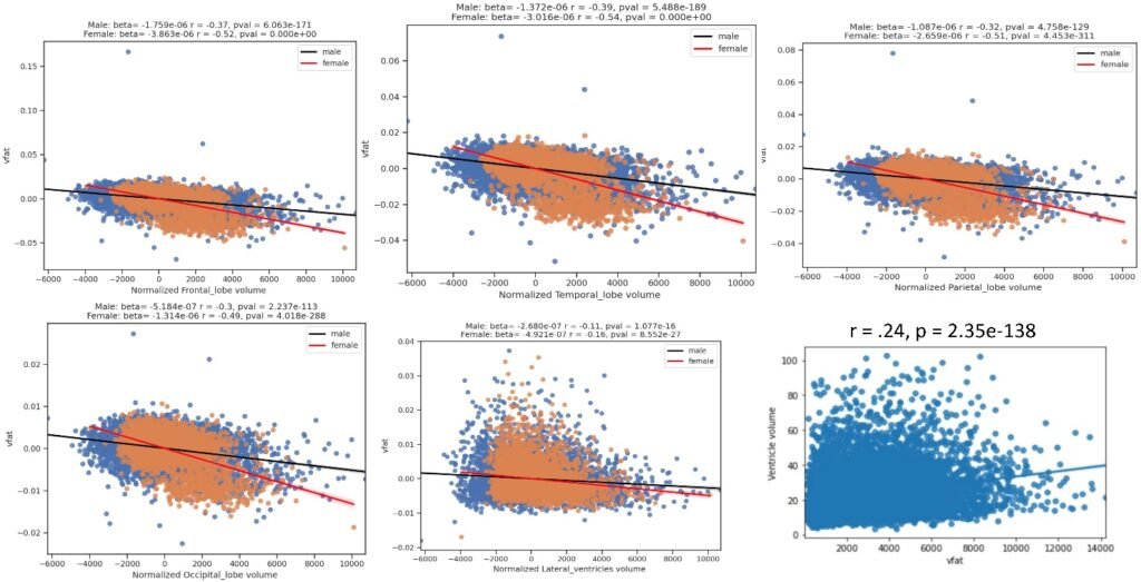 Fat Distribution vs. Brain Volume