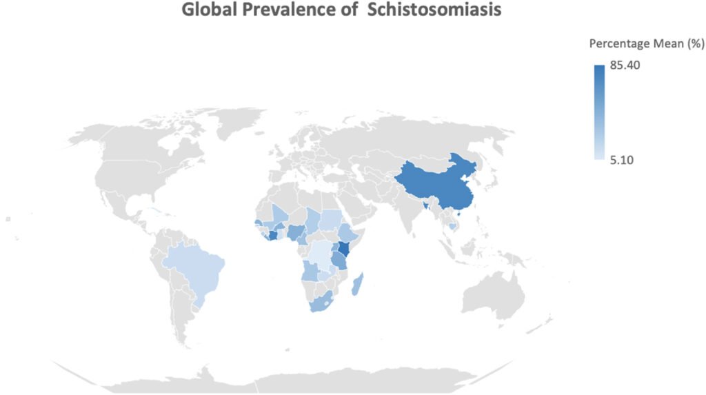 Researchers Investigate a Worm That Temporarily Disables Pain Sensation 2 Global Prevalence of Schistosomiasis