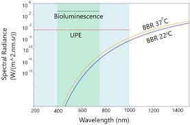 Graph comparing ultraweak photon emission levels in living and deceased biological samples