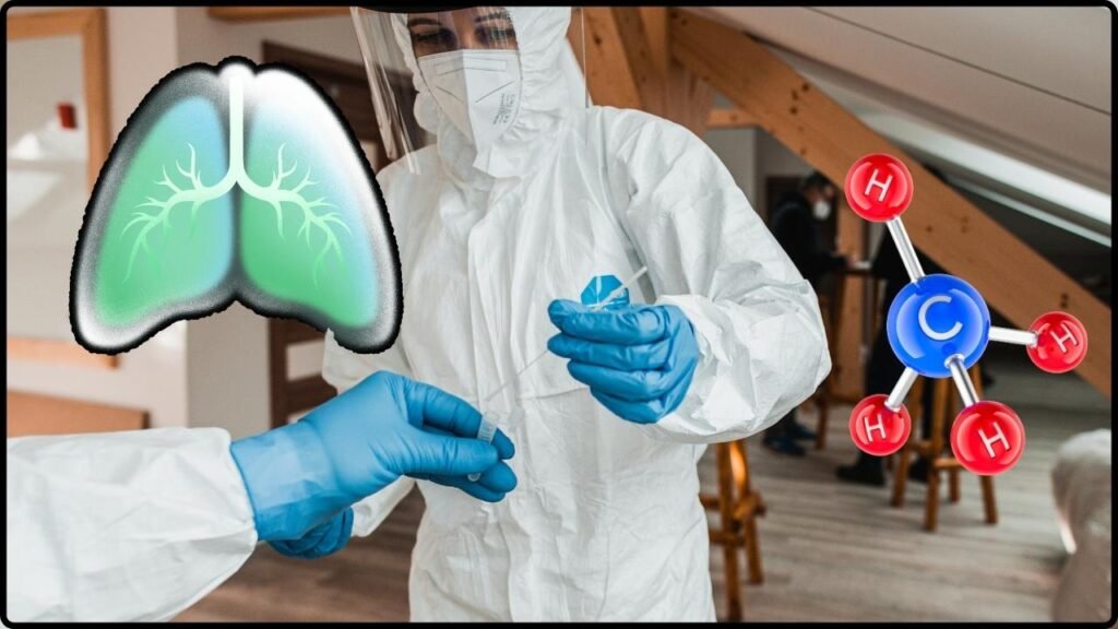 Pandemic Lockdowns Cleared the Air but Drove a Rise in Methane Emissions