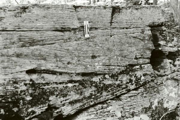 Photograph of tidal rhythmites rock formation showing ancient daily cycles