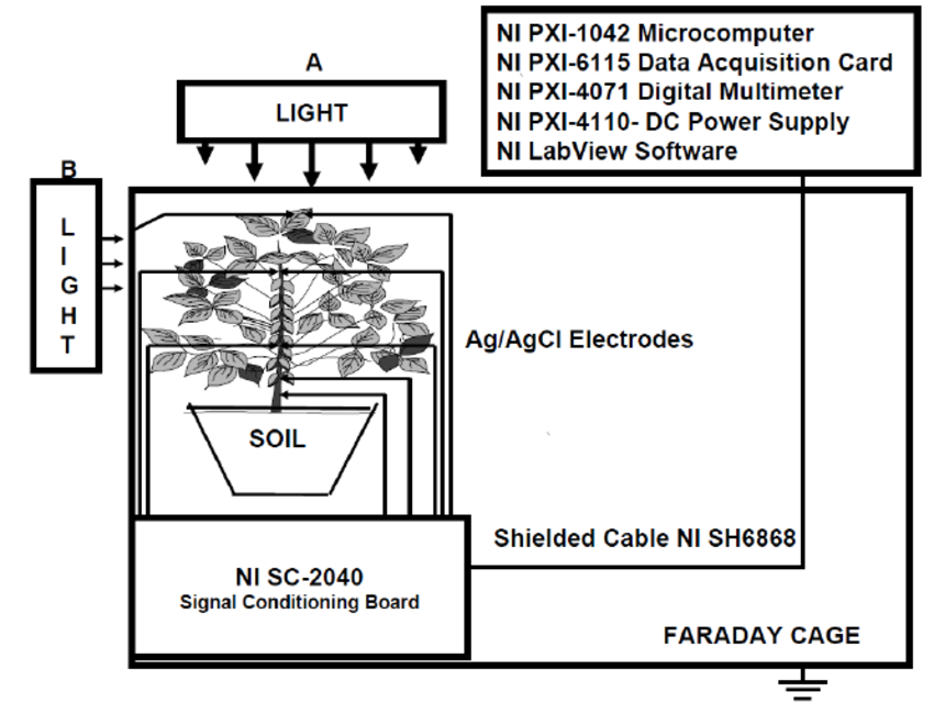 Plant electrical signal measurement setup