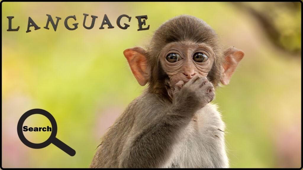 Researchers Decode How Macaque Facial Expressions Work Like a Language