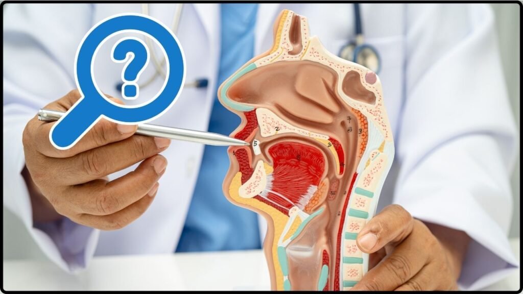 Scientists Identify a Previously Unknown Organ Hidden Behind the Human Nose