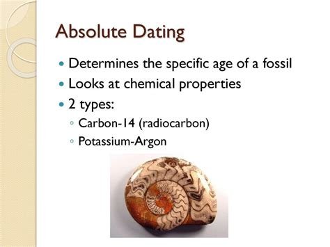 Researchers Find Ancient Whale Fossils Hundreds of Kilometres Inland 3 fossil absolute dating diagram