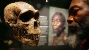The Human Skull Discovery