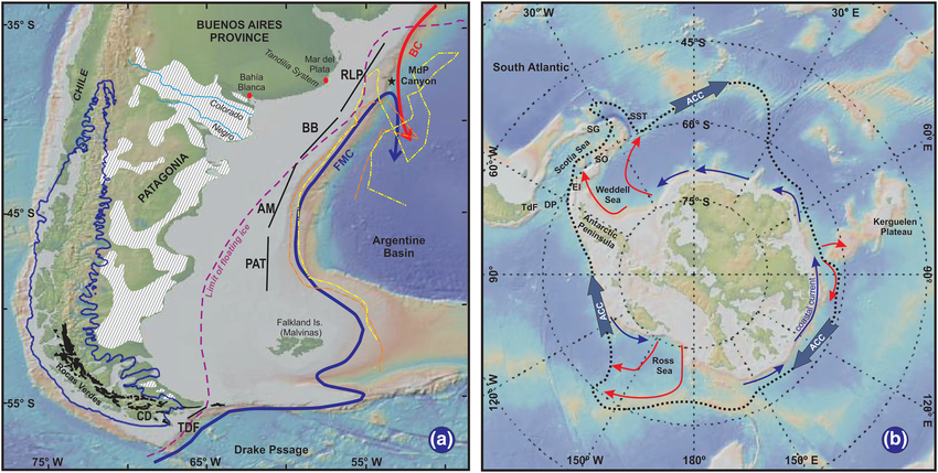 Rarely Seen Starfish
