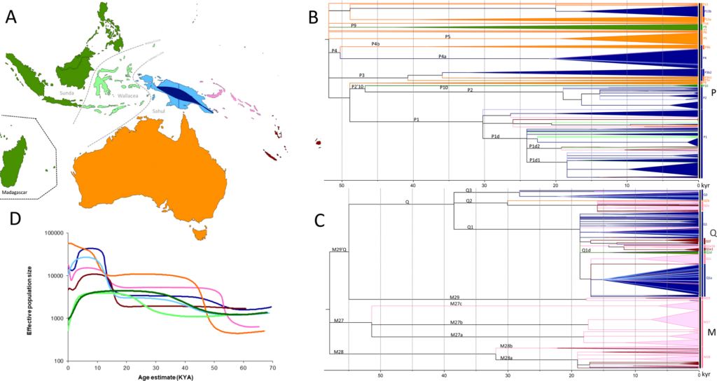 Genetic Research Sheds Light on the Ancestry of Papua New Guinea Communities 3 image 124