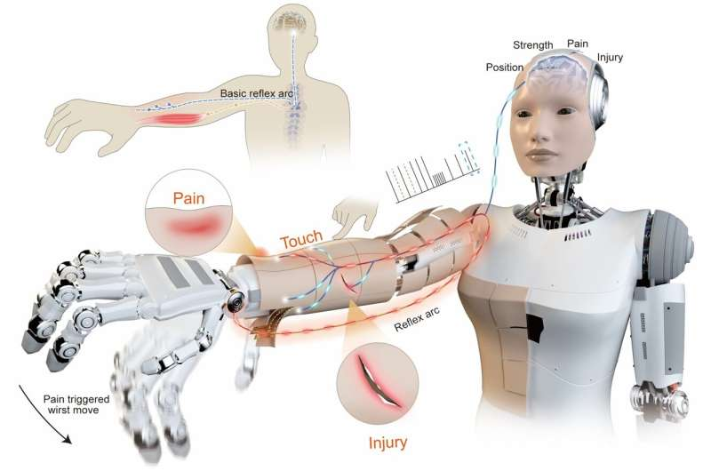 Materials And Fabrication