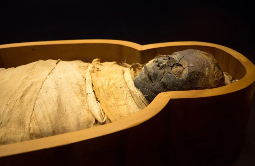 Mummies Prepared with Gold Tongues for the Afterlife