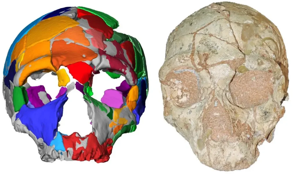 This Mysterious Human Skull Could Rewrite the Out of Africa Theory 1 Mysterious Human Skull