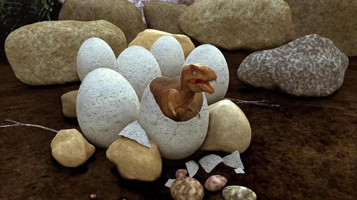 Rare Dinosaur Egg Agate Shows Natural Patterns