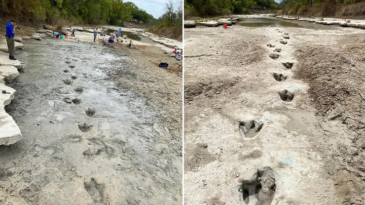 Texas Storms Uncovered a Large Set of Ancient Dinosaur Tracks