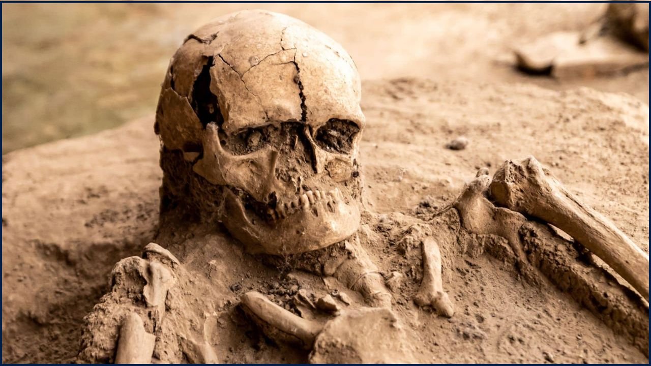 Controversial Skull Discovery