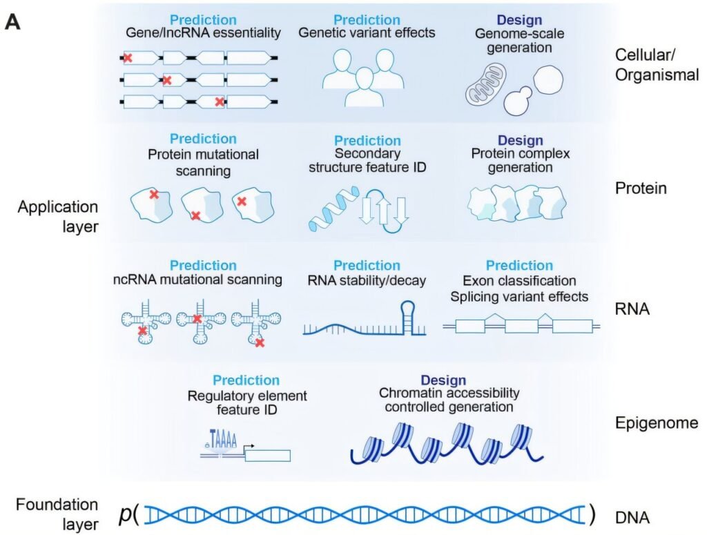 Genome AI Model Architecture & Training Data