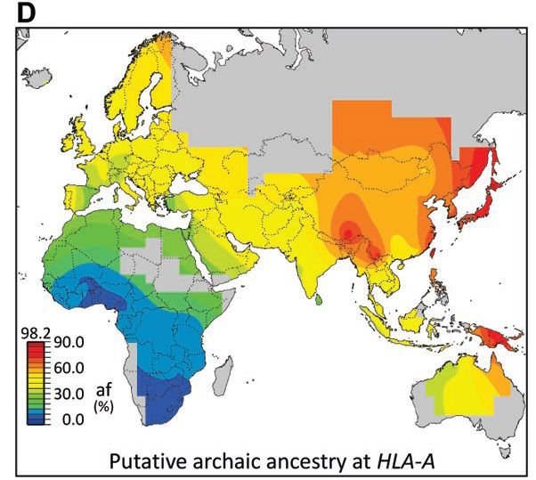 Graph Showing Neanderthal DNA Percentage in Modern Humans