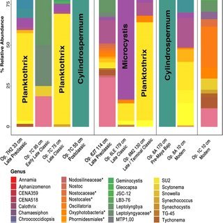 Mercury Levels in Maya Reservoirs
