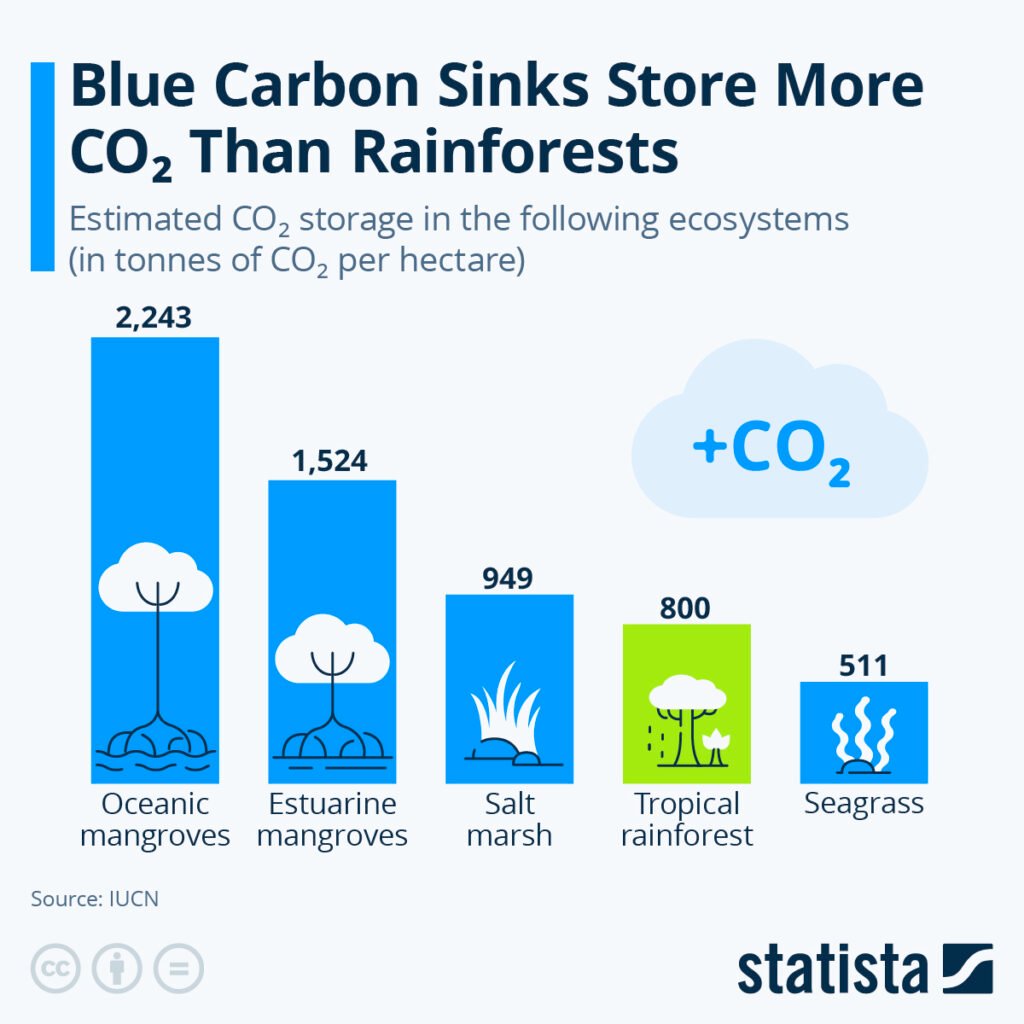 Seagrass Carbon Storage (Blue Carbon) Charts