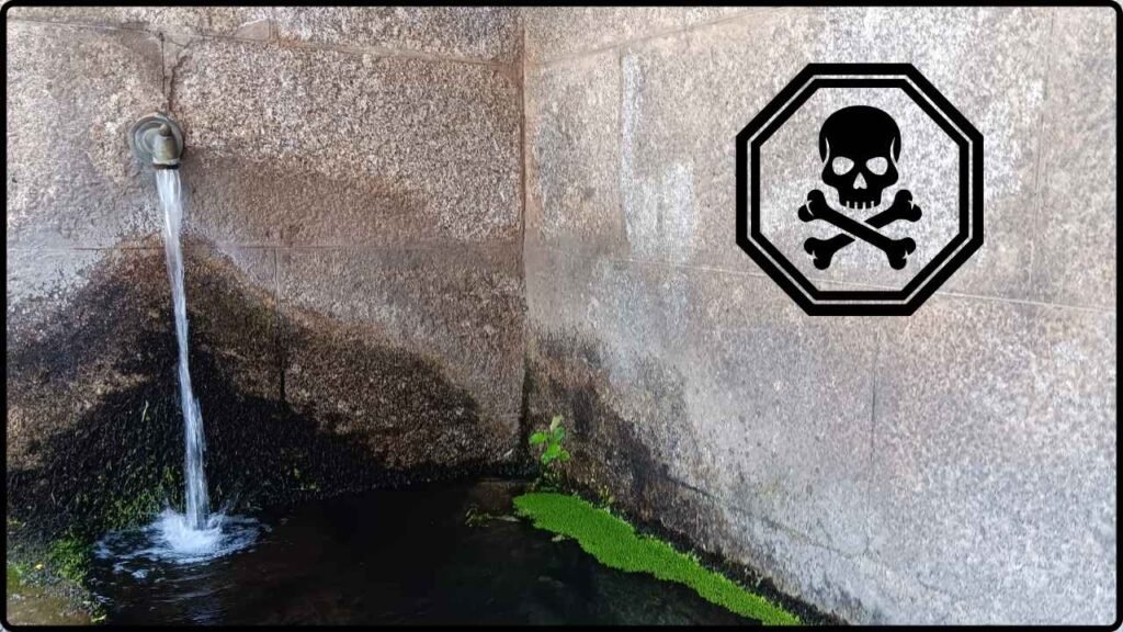 The Maya’s Cleanest Water Source Turned Out to Be Slowly Poisoning Them