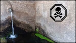 The Maya’s Cleanest Water Source Turned Out to Be Slowly Poisoning Them