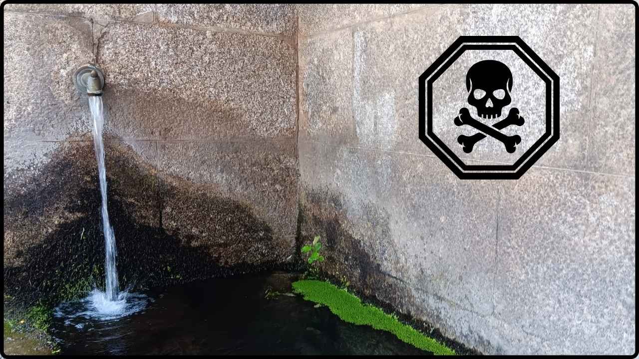 The Maya’s Cleanest Water Source Turned Out to Be Slowly Poisoning Them