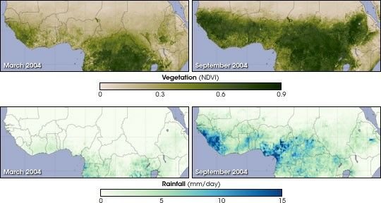 Vegetation and Rainfall Trends in the Sahel